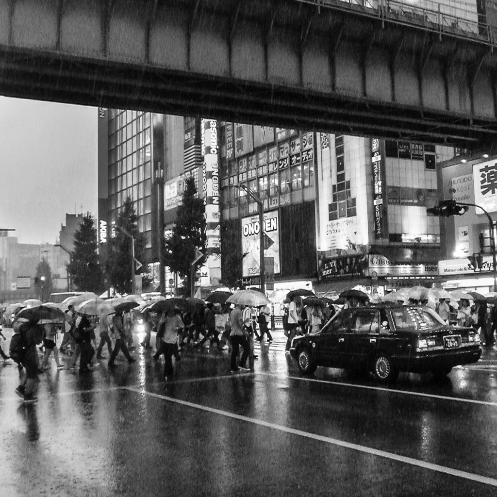 Black and white candidate photo for inclusion in final set of 9 photos for printing and framing.